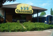 "Foto von Crocodile"